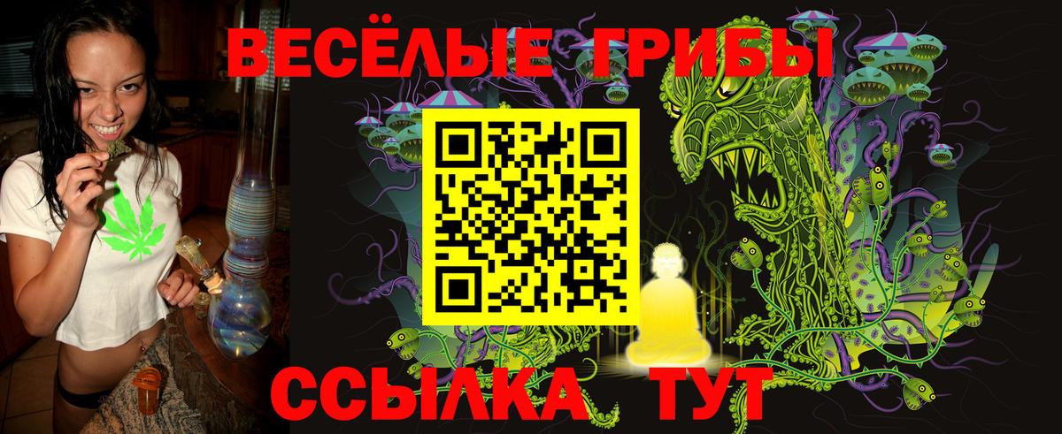 Псилоцибиновые грибы Psilocybine cubensis  Вход с VPN  Светлоград 